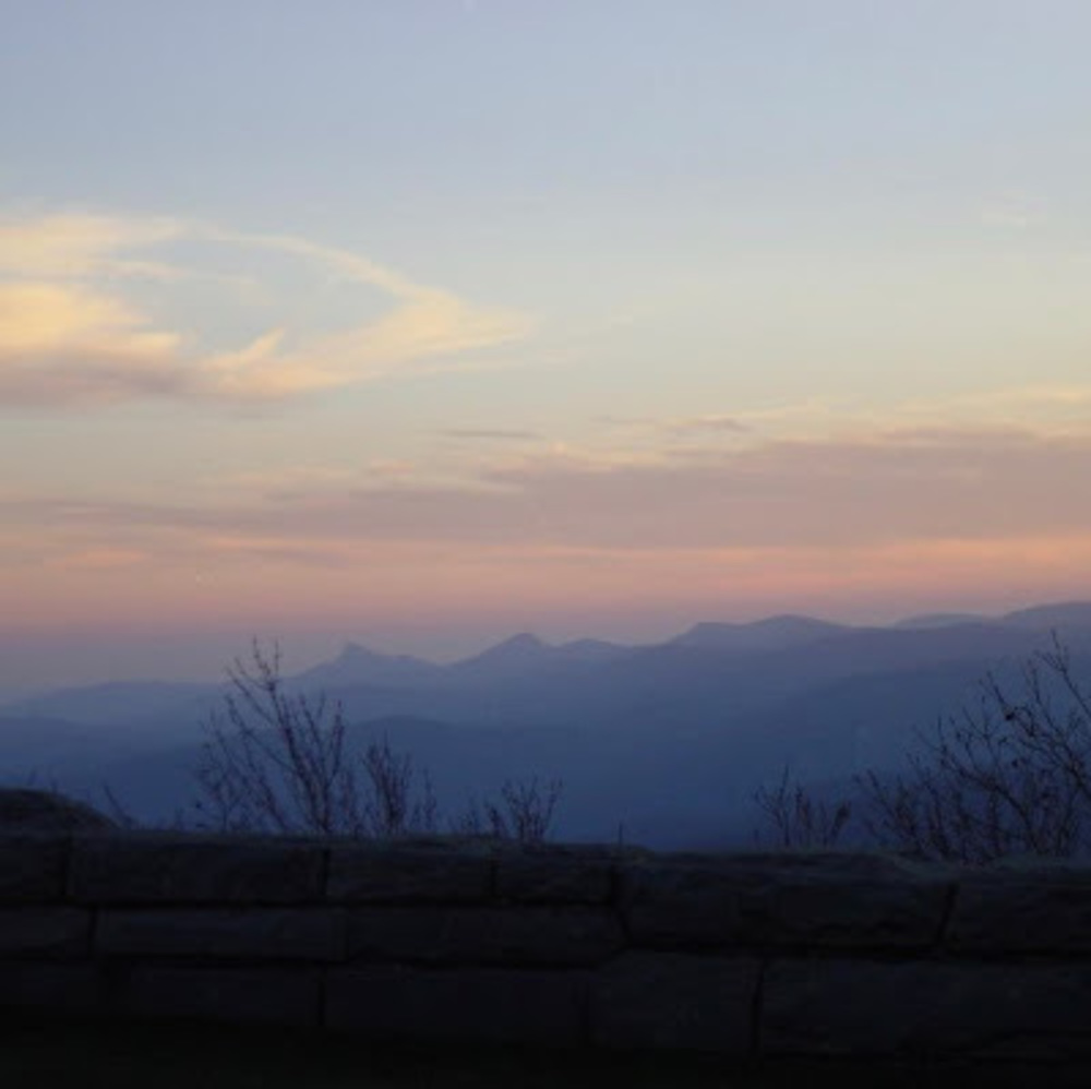 Meet your Posher, Addison